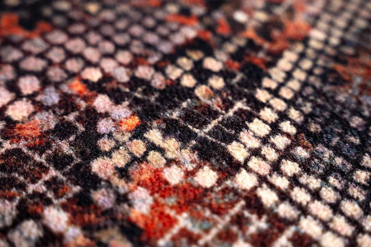 Sdim Eingangsmatte Teppich Rutschfeste Rückseite Ambiente 948 Schlange 50x75cm Dicke 8mm