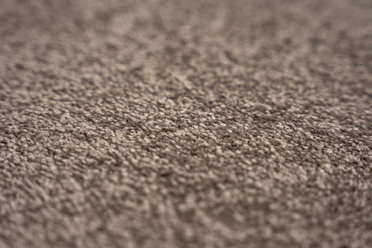 Sdim Eingangsmatte Teppich Rutschfeste Unterseite Memphis 073 Beige 40x60cm