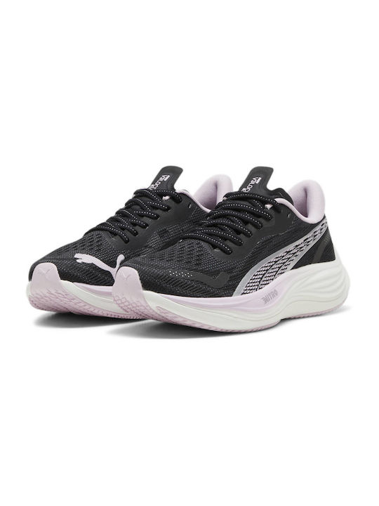 Velocity Nitro 3 Sport Shoes Running Black / Lilac - Black Lilac