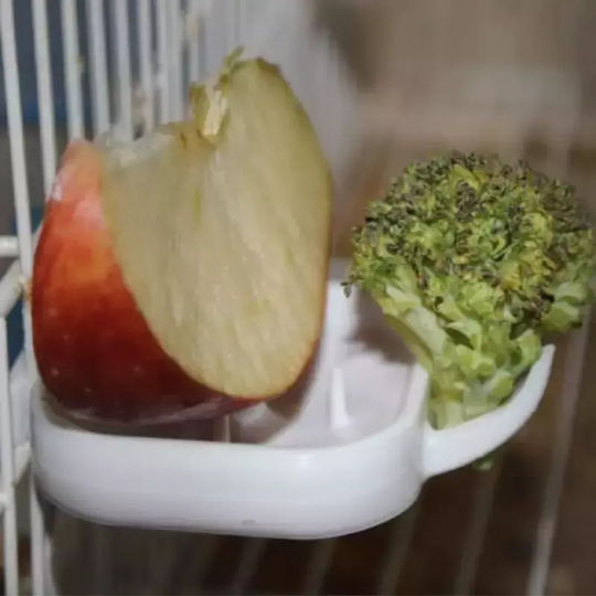 Moldes Ave Frutero Floren Bird Feeder