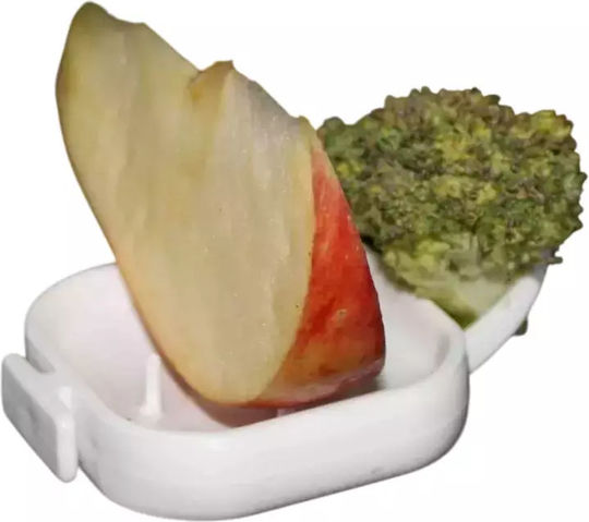 Moldes Ave Frutero Floren Bird Feeder