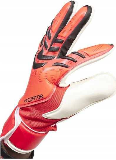 adidas Predator GL MTC Torwarthandschuhe Erwachsene Rot