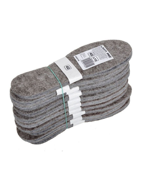 Lahti Pro Shoe-Care Product for Fabric Shoes