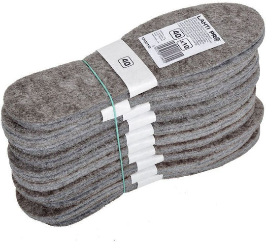 Lahti Pro Shoe-Care Product for Fabric Shoes