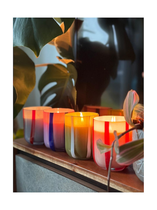 Maegen Aromatic Candle in Jar with Black Currant & Oudh Scent 280g