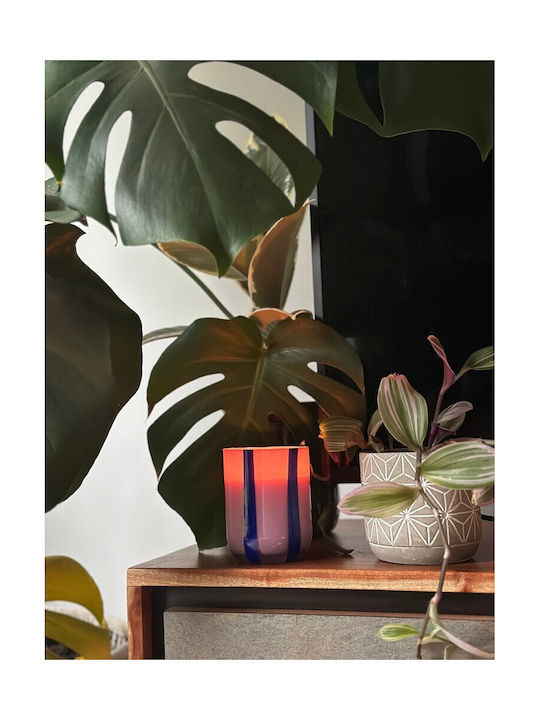 Maegen Aromatic Candle in Jar with Black Currant & Oudh Scent 280g