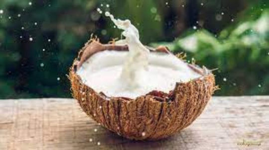 Amaizin Bio-Kokosnuss-Getränk 200ml