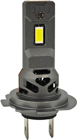 Lamps Car H7 / H18 Canbus LED 5500K Cold White 32V 2pcs