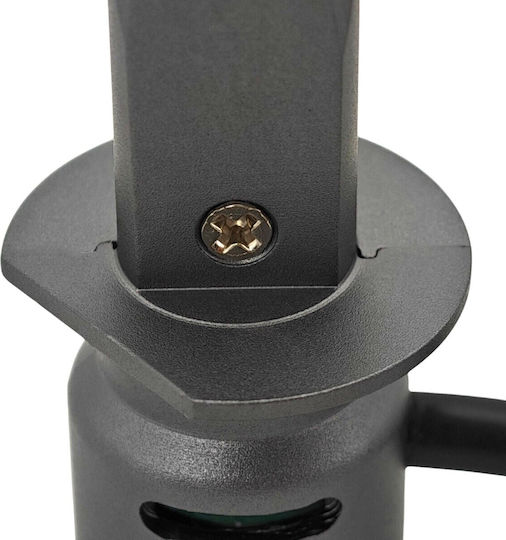 Lampen Auto H1 Canbus LED 5500K Kaltes Weiß 9-30V / 30V 2Stück