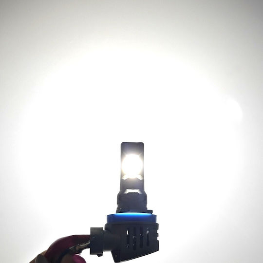Λάμπες Αυτοκινήτου H9 / DRL Canbus LED 5500K Ψυχρό Λευκό 32V 2τμχ