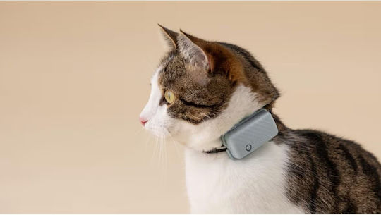 Tractive mini GPS Tracker Κολάρο Γάτας Πράσινο
