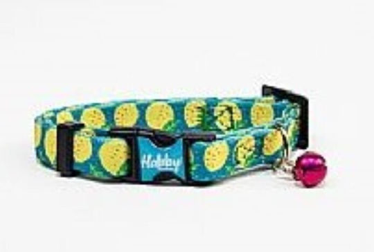 Habby Collar Katzenhalsband Grün