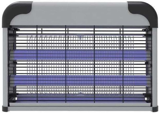 20W