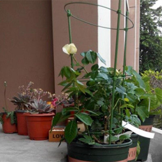 Suport pentru Flori Zola Formă Circulară Diametru 19 Cm Verde