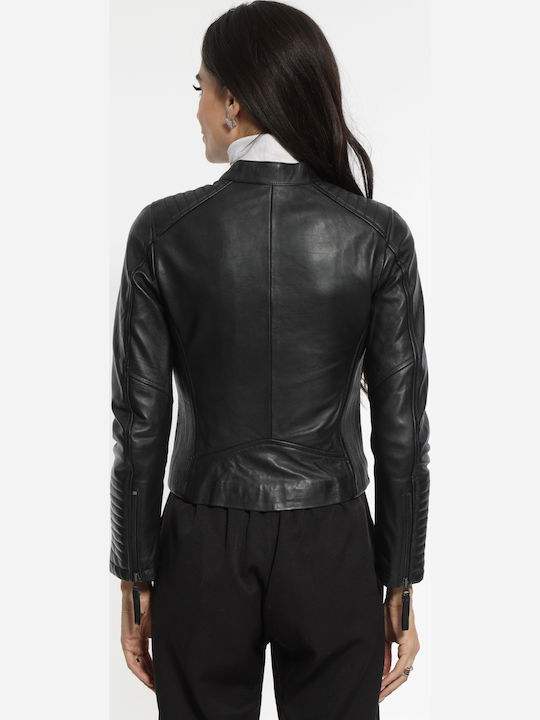 Newton Leather Newton Leather