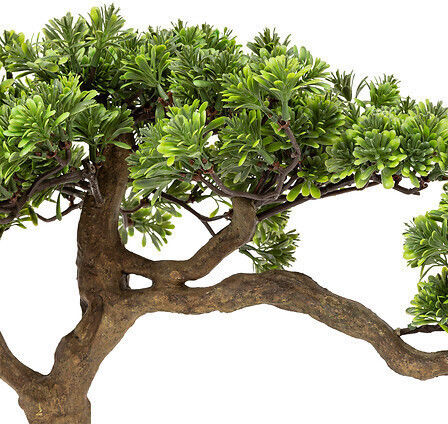 Bonsai Plantă În Ghiveci 45cm Atmosphera
