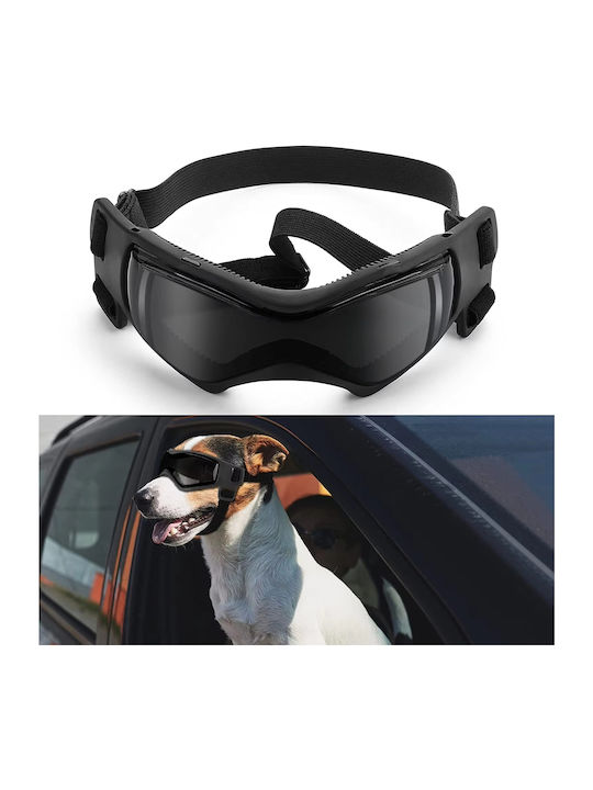 Schutzbrille Hunde Katzen Haustiere Motorrad Fahrrad UV400