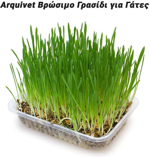 Γρασίδι για Γαστρεντερικές Διαταραχές 100gr