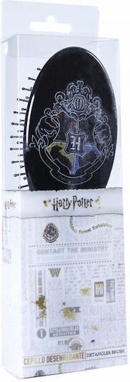 Cerda Hogwarts Brush Hair Black