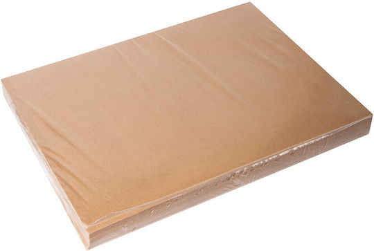 Placemats for Party 500 Pieces