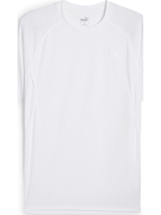 Run Velocity Athletic T-shirt White