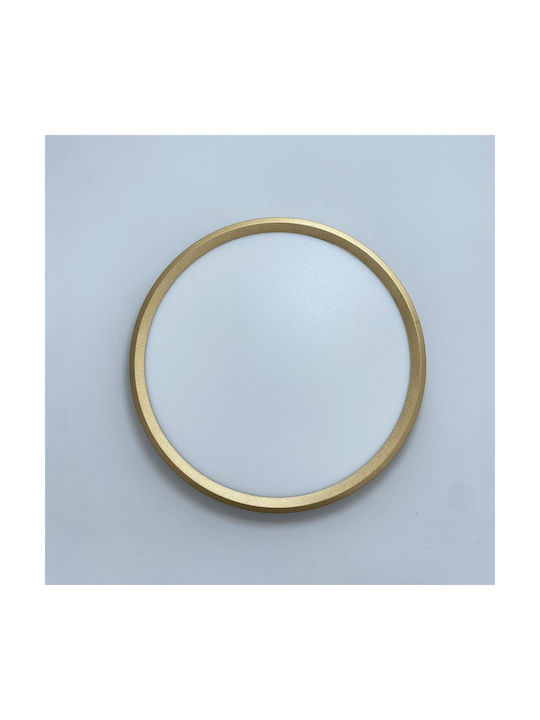 Redled Ceiling Light Redled Ceiling Light