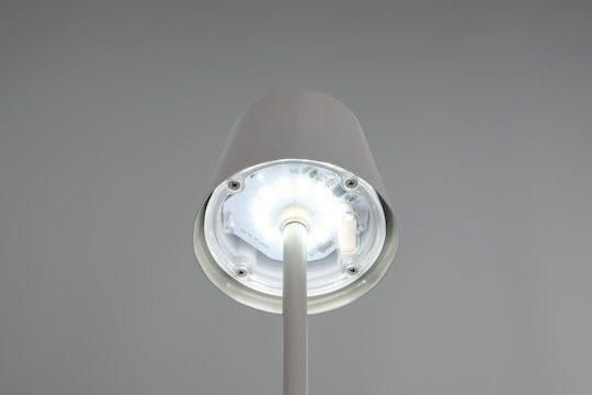 Trio Lighting Metall Tischlampe LED mit Gray Schirm und Basis