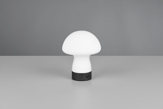 Trio Lighting Стъклена Настолна лампа LED с Бял Абажур и Основа