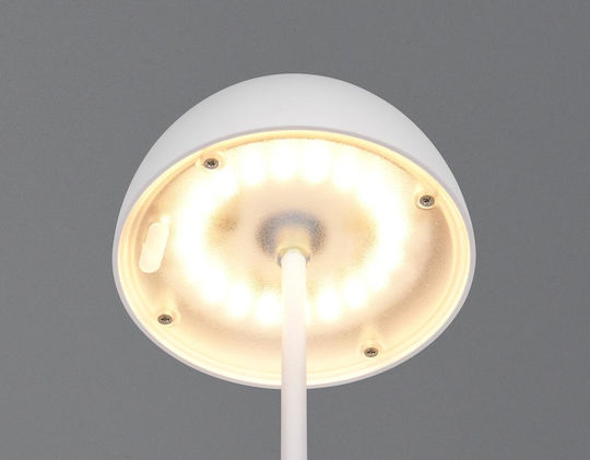 Trio Lighting Kunststoff Tischlampe LED mit Weiß Schirm und Basis