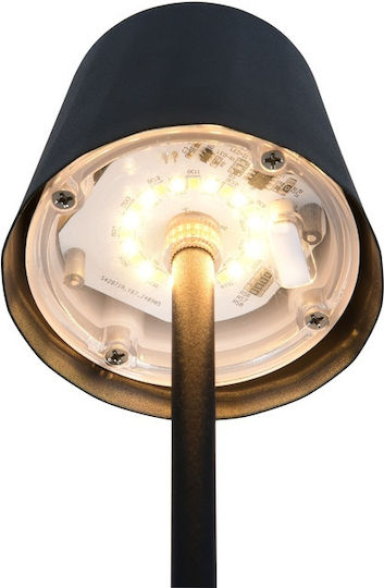 Trio Lighting Μεταλλικό Πορτατίφ LED με Μαύρο Καπέλο και Βάση