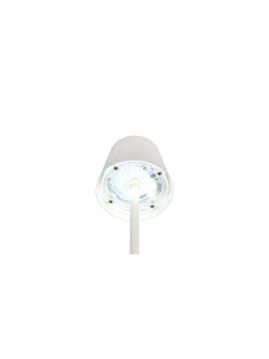 Trio Lighting Μεταλλικό Πορτατίφ LED με Λευκό Καπέλο και Βάση