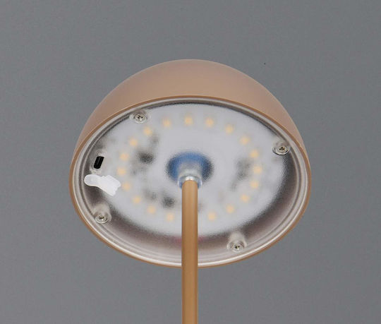 Trio Lighting Kunststoff Tischlampe LED mit Braun Schirm und Basis