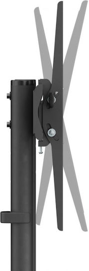 Akai Proffesional ST3670 Fernsehhalterung Boden bis 70" und 45kg