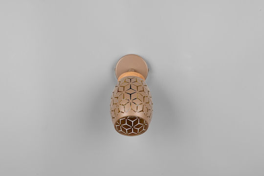 Trio Lighting Единично Спот в Кафяв Цвят