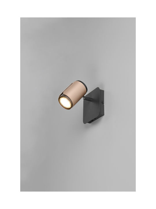 Trio Lighting Monos Spot în Culoare Maro