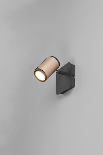 Trio Lighting Single Spot in Brown Color