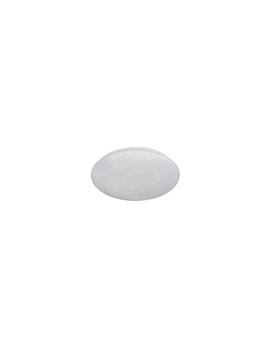 Trio Lighting Ceiling Mount Light