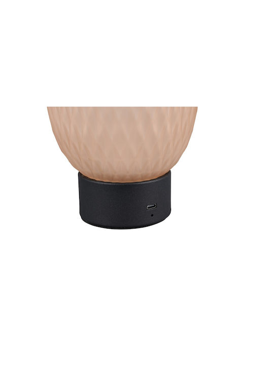 Trio Lighting Διακοσμητικό Φωτιστικό LED Θερμό Λευκό 3000K
