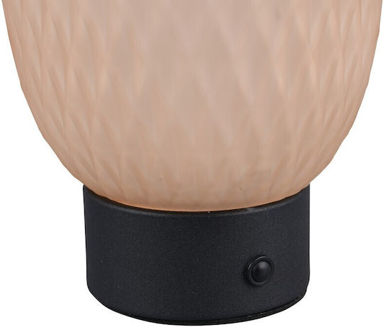 Trio Lighting Decorative Lamp Honey