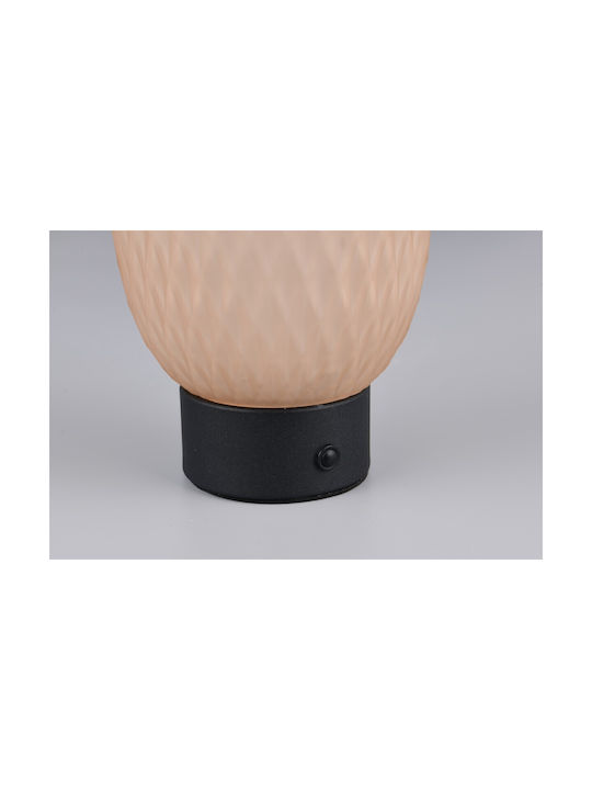 Trio Lighting Διακοσμητικό Φωτιστικό LED Θερμό Λευκό 3000K