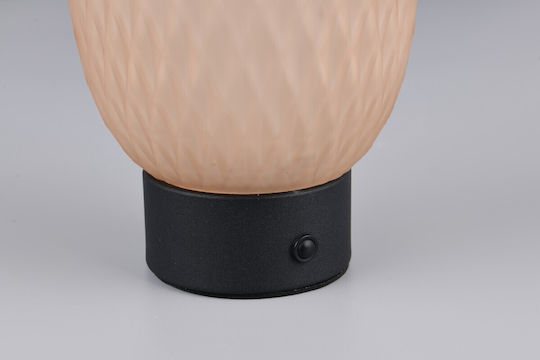 Trio Lighting Decorative Lamp Honey