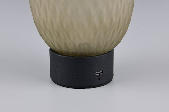 Trio Lighting Dekorative Lampe Grün
