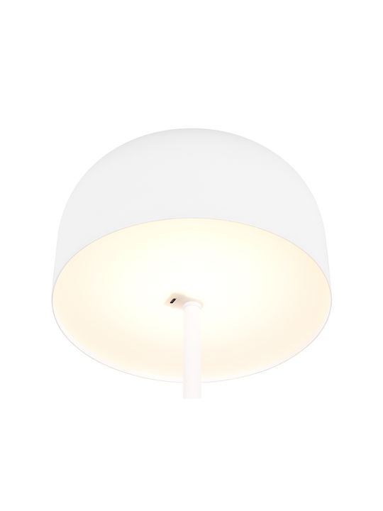 Trio Lighting LED Floor Lamp with Warm White Light White