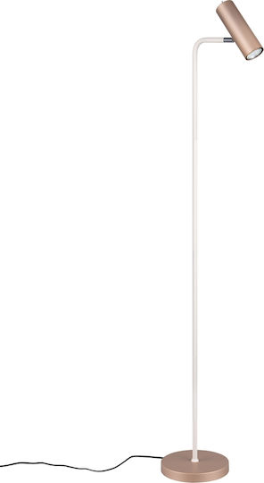 Trio Lighting Marley Floor Lamp Brown