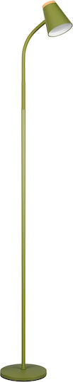 Trio Lighting LED Floor Lamp with Warm White Light Green
