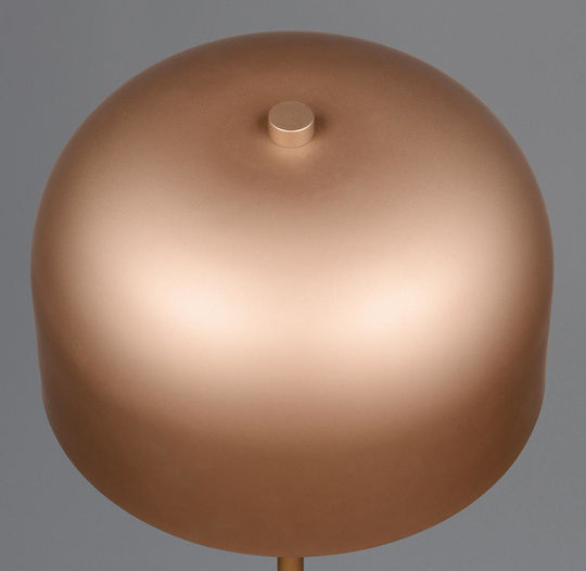 Trio Lighting LED Stehleuchte mit Warmweißem Licht Braun