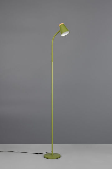 Trio Lighting LED Floor Lamp with Warm White Light Green