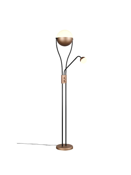 Trio Lighting Chris LED Floor Lamp with Warm White Light Brown