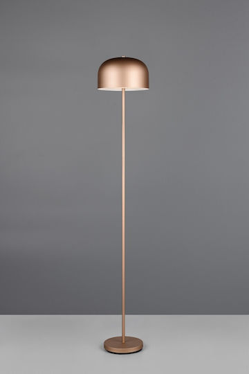 Trio Lighting LED Stehleuchte mit Warmweißem Licht Braun