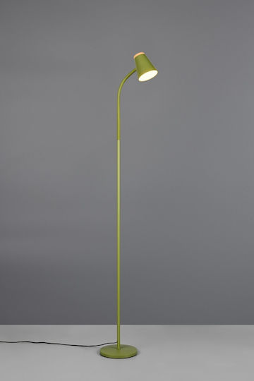 Trio Lighting LED Floor Lamp with Warm White Light Green
